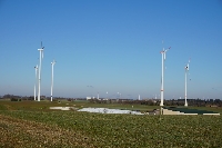 Windräder Pollenfeld