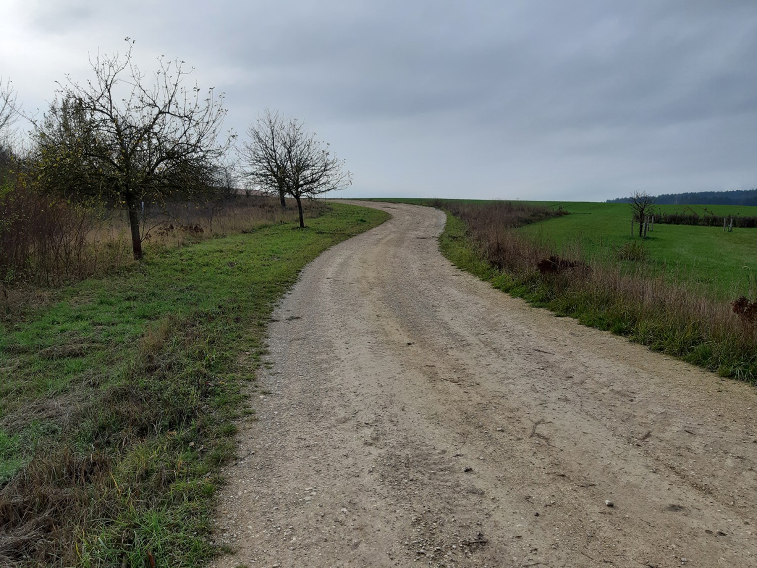 Feldweg in Seuversholz